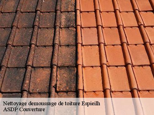 nettoyage-demoussage-de-toiture-asdp-couverture-7