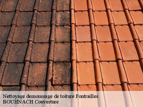 Nettoyage demoussage de toiture 65220