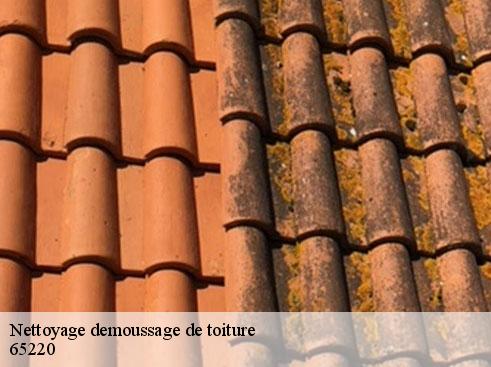 nettoyage-demoussage-de-toiture-artisan-medou-8