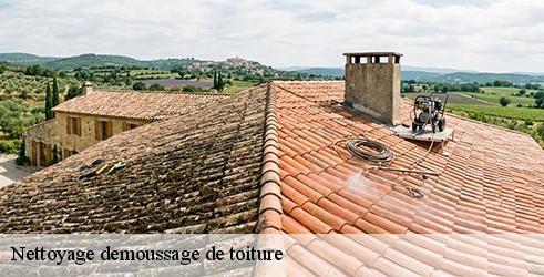 nettoyage-demoussage-de-toiture-l-art-du-toit-9