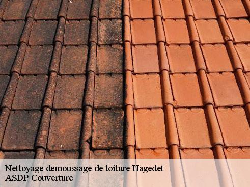 nettoyage-demoussage-de-toiture-asdp-couverture-7