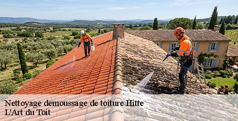 nettoyage-demoussage-de-toiture-l-art-du-toit-10