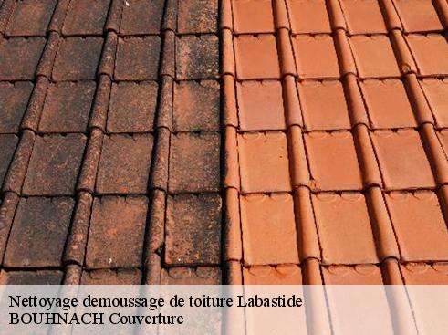 Nettoyage demoussage de toiture 65130