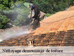 Nettoyage demoussage de toiture