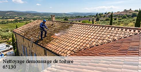 nettoyage-demoussage-de-toiture-l-art-du-toit-8