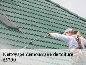 Nettoyage demoussage de toiture