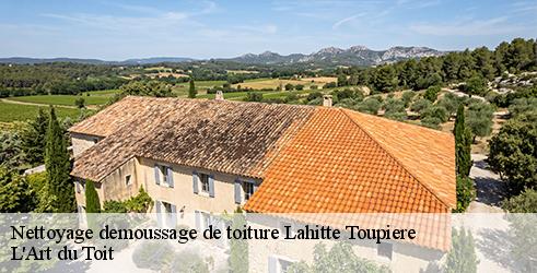 nettoyage-demoussage-de-toiture-l-art-du-toit-1
