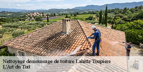 nettoyage-demoussage-de-toiture-l-art-du-toit-7