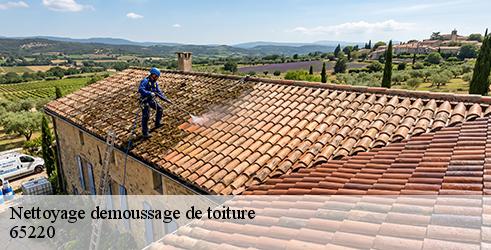 nettoyage-demoussage-de-toiture-l-art-du-toit-8