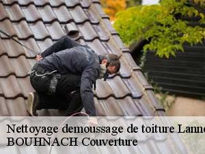 Nettoyage demoussage de toiture