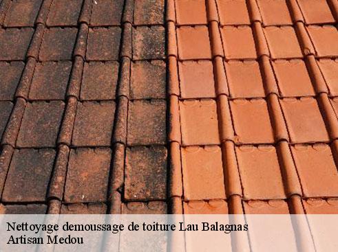 nettoyage-demoussage-de-toiture-artisan-medou-7