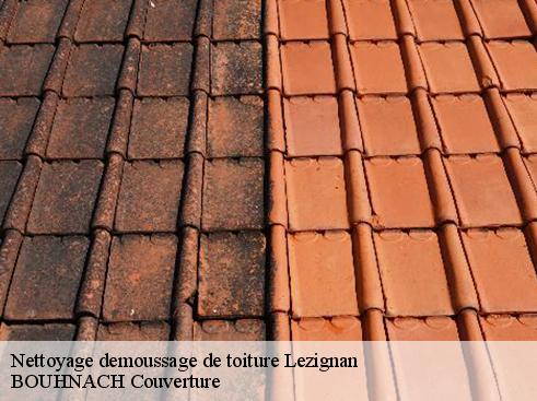 Nettoyage demoussage de toiture 65100