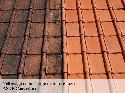 nettoyage-demoussage-de-toiture-asdp-couverture-7