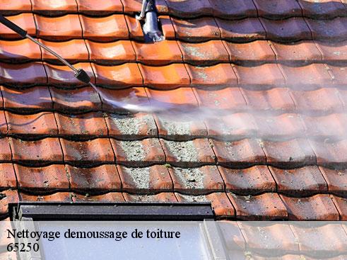 nettoyage-demoussage-de-toiture-artisan-medou-5