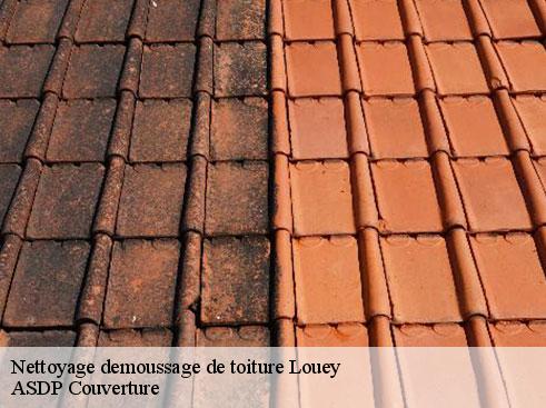 nettoyage-demoussage-de-toiture-asdp-couverture-7