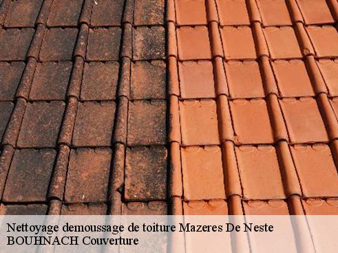 Nettoyage demoussage de toiture  65660