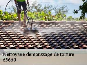 Nettoyage demoussage de toiture  65660