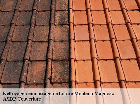 nettoyage-demoussage-de-toiture-asdp-couverture-7