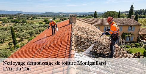 nettoyage-demoussage-de-toiture-l-art-du-toit-10