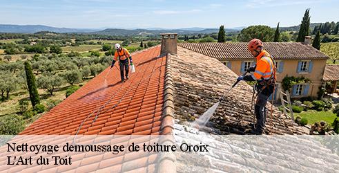 nettoyage-demoussage-de-toiture-l-art-du-toit-10