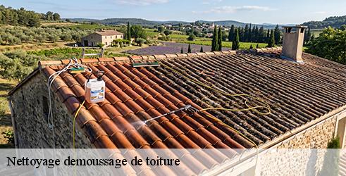 nettoyage-demoussage-de-toiture-l-art-du-toit-6