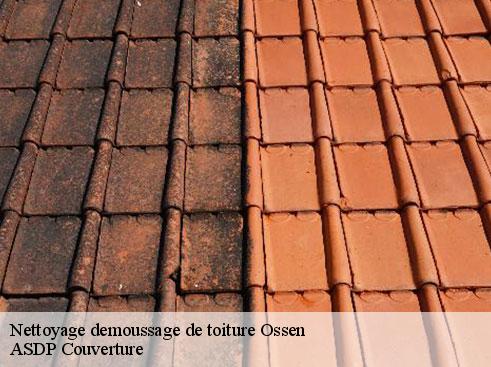 nettoyage-demoussage-de-toiture-asdp-couverture-7