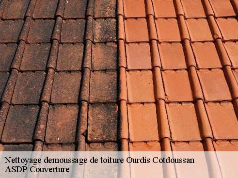 nettoyage-demoussage-de-toiture-asdp-couverture-7