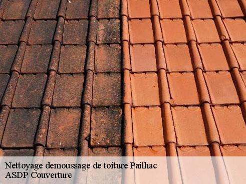 nettoyage-demoussage-de-toiture-asdp-couverture-7