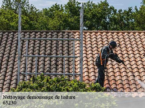 nettoyage-demoussage-de-toiture-asdp-couverture-2