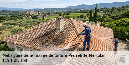 nettoyage-demoussage-de-toiture-l-art-du-toit-7