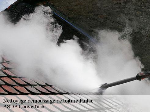 nettoyage-demoussage-de-toiture-asdp-couverture-1