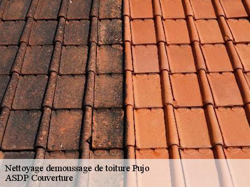nettoyage-demoussage-de-toiture-asdp-couverture-7