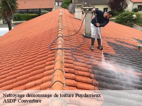 nettoyage-demoussage-de-toiture-asdp-couverture-4