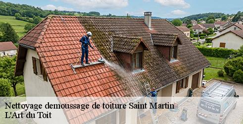 nettoyage-demoussage-de-toiture-l-art-du-toit-4