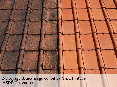nettoyage-demoussage-de-toiture-asdp-couverture-7