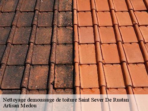 nettoyage-demoussage-de-toiture-artisan-medou-7