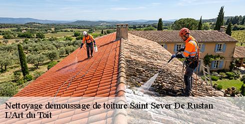 nettoyage-demoussage-de-toiture-l-art-du-toit-10