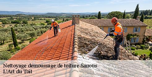 nettoyage-demoussage-de-toiture-l-art-du-toit-10
