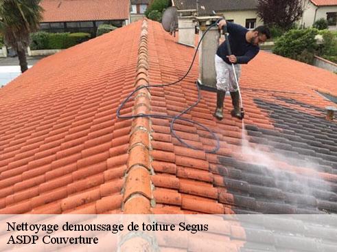 nettoyage-demoussage-de-toiture-asdp-couverture-4