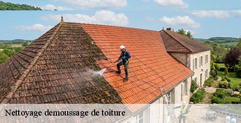 nettoyage-demoussage-de-toiture-l-art-du-toit-3