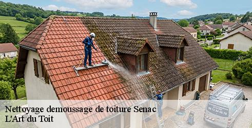 nettoyage-demoussage-de-toiture-l-art-du-toit-4