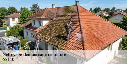 nettoyage-demoussage-de-toiture-l-art-du-toit-5