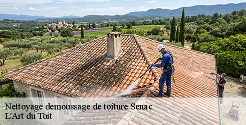 nettoyage-demoussage-de-toiture-l-art-du-toit-7