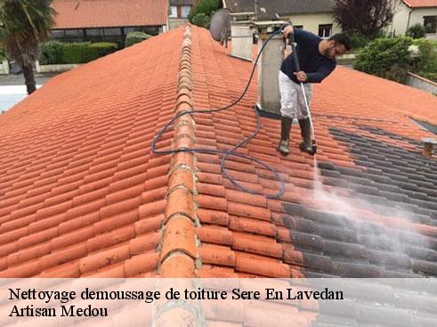 nettoyage-demoussage-de-toiture-artisan-medou-4