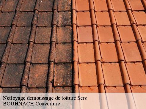 Nettoyage demoussage de toiture sers-65120 BOUHNACH Couverture