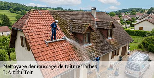 nettoyage-demoussage-de-toiture-l-art-du-toit-4