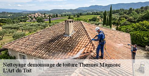 nettoyage-demoussage-de-toiture-l-art-du-toit-7