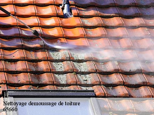 Nettoyage demoussage de toiture 65660