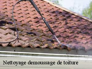 Nettoyage demoussage de toiture  65660