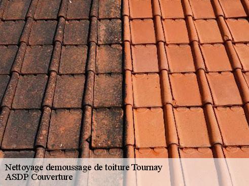 nettoyage-demoussage-de-toiture-asdp-couverture-7